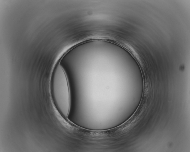 X0000090930795200707301113