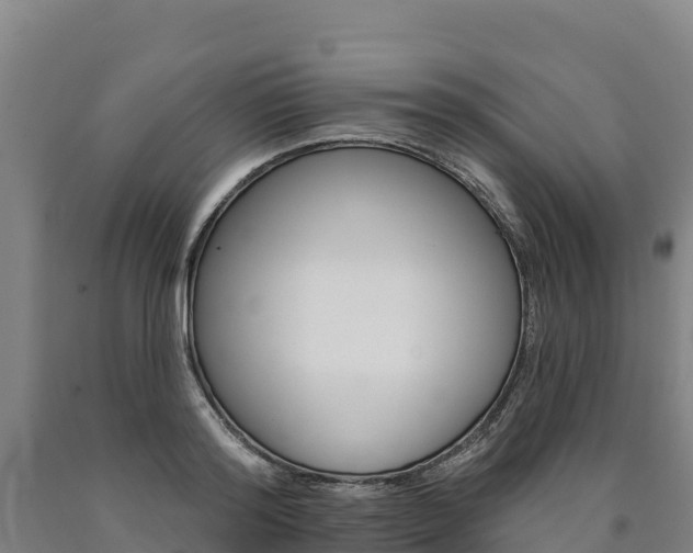 X0000090930796200707301113