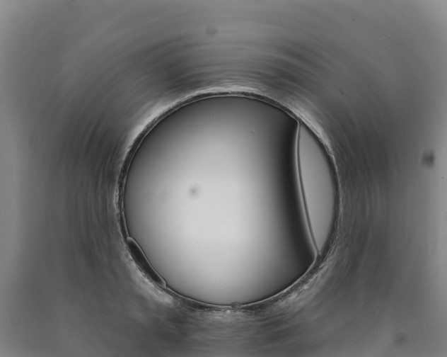 X0000090930797200707301113
