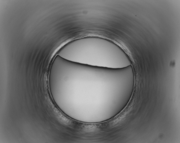 X0000090930798200707301113
