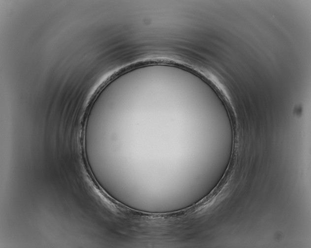 X0000090930799200707301113
