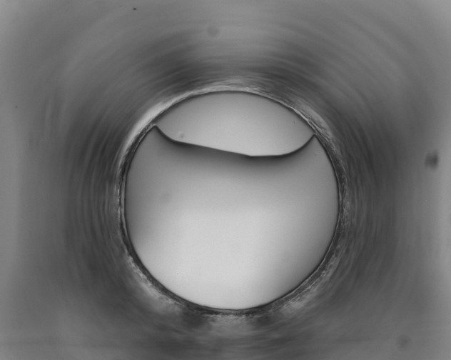 X0000090930800200707301113
