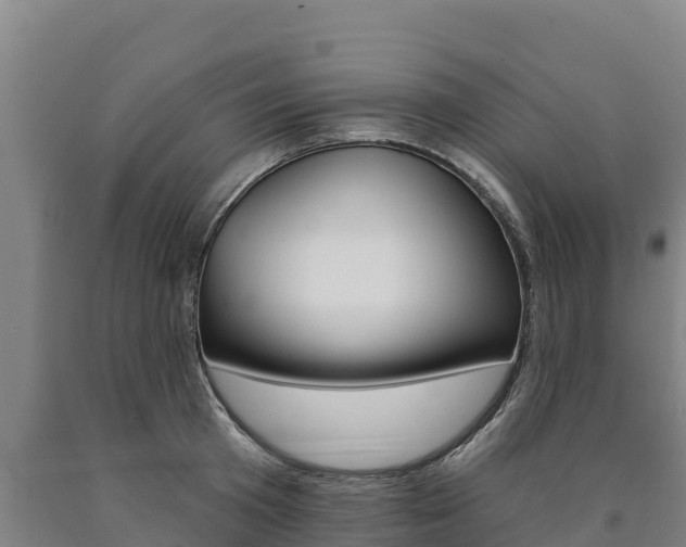 X0000090930801200707301113
