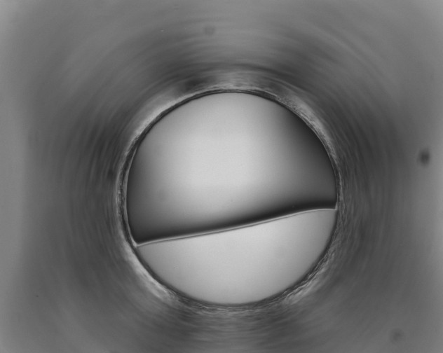 X0000090930803200707301113