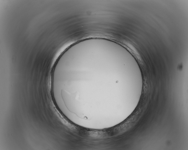 X0000090930804200707301113