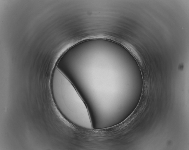 X0000090930805200707301113