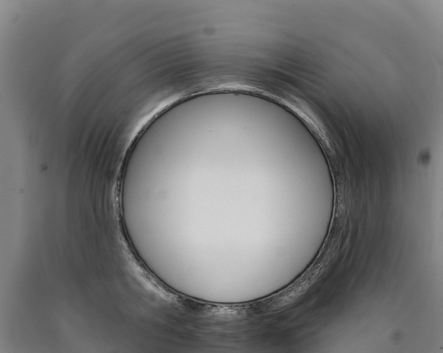 X0000090930806200707301113