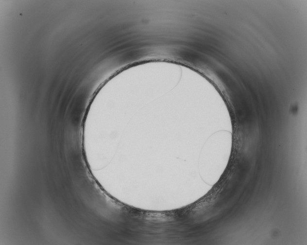 X0000090930807200707301113