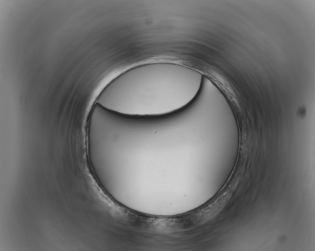 X0000090930808200707301113