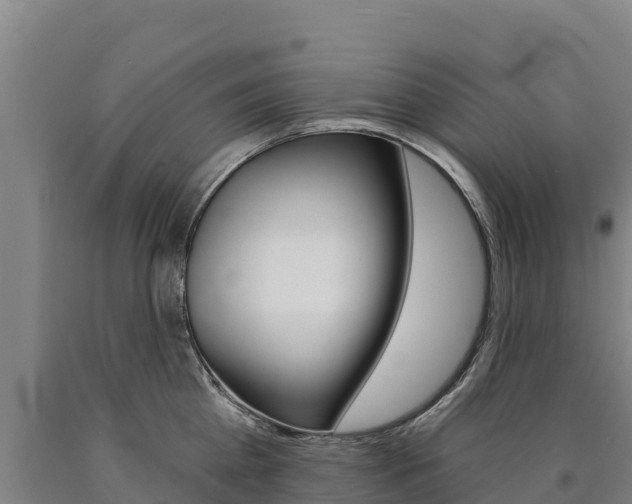 X0000090930809200707301113