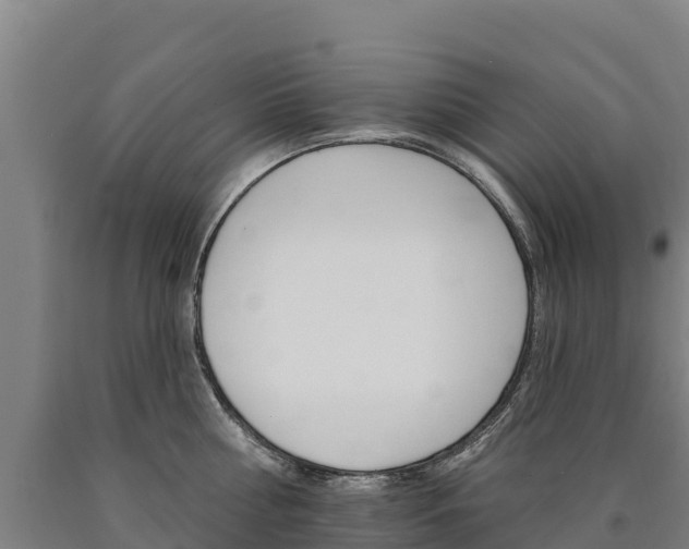 X0000090930810200707301113