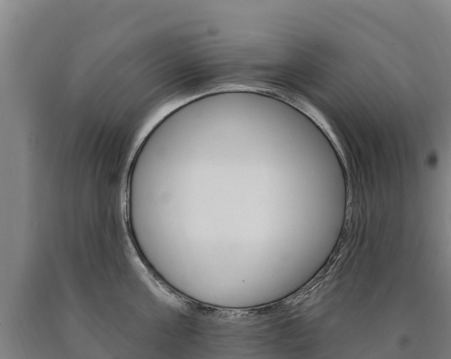 X0000090930811200707301113