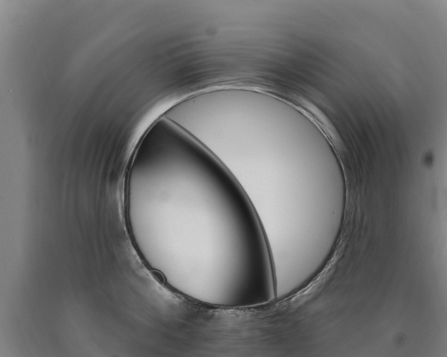 X0000090930812200707301113
