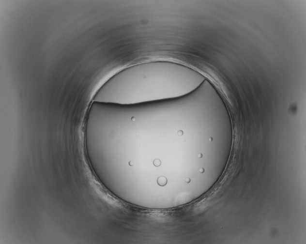 X0000090930814200707301113