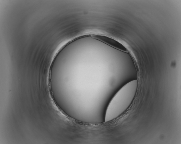 X0000090930815200707301113