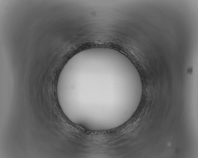 X0000090930817200707301113