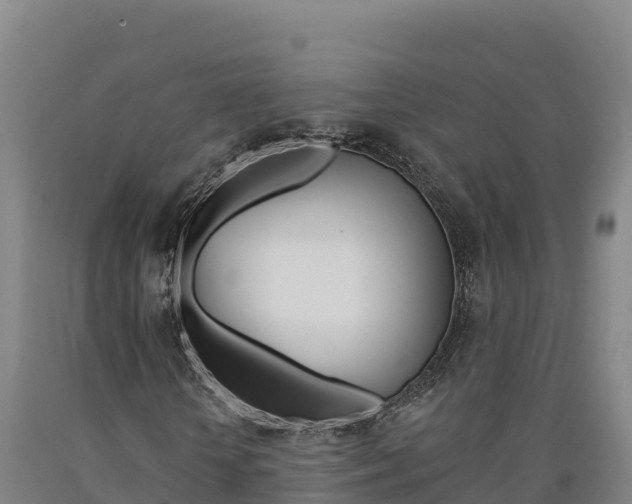 X0000090930818200707301113