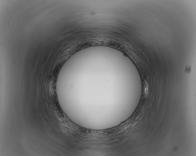 X0000090930819200707301113