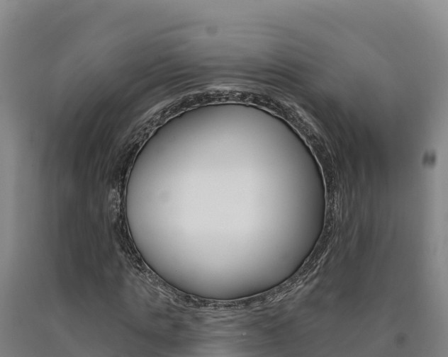 X0000090930821200707301113