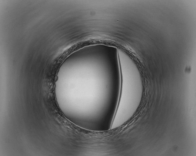 X0000090930822200707301113