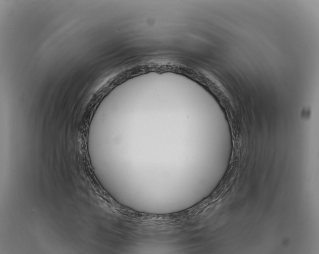 X0000090930823200707301113