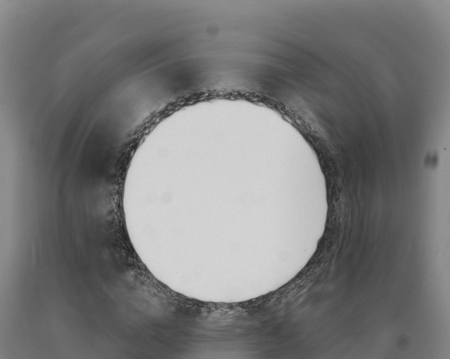 X0000090930824200707301113