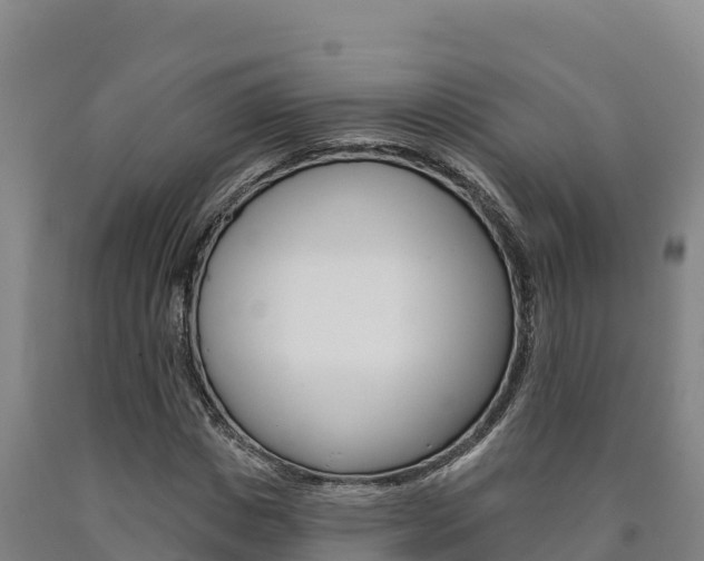 X0000090930825200707301113
