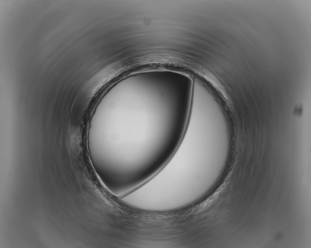 X0000090930826200707301113