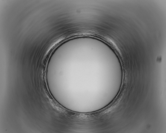 X0000090930827200707301113