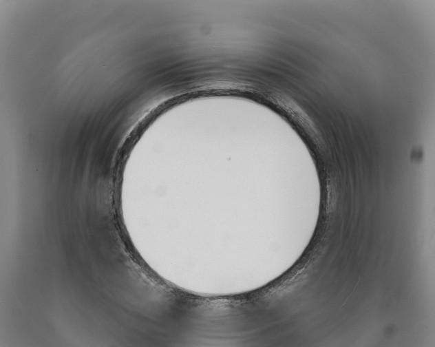 X0000090930828200707301113