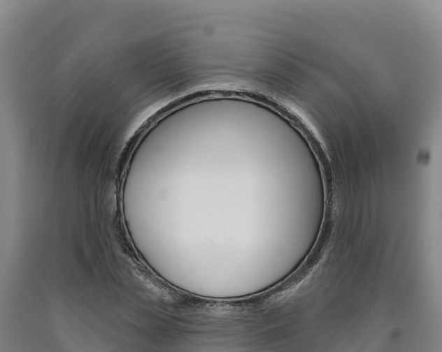 X0000090930829200707301113