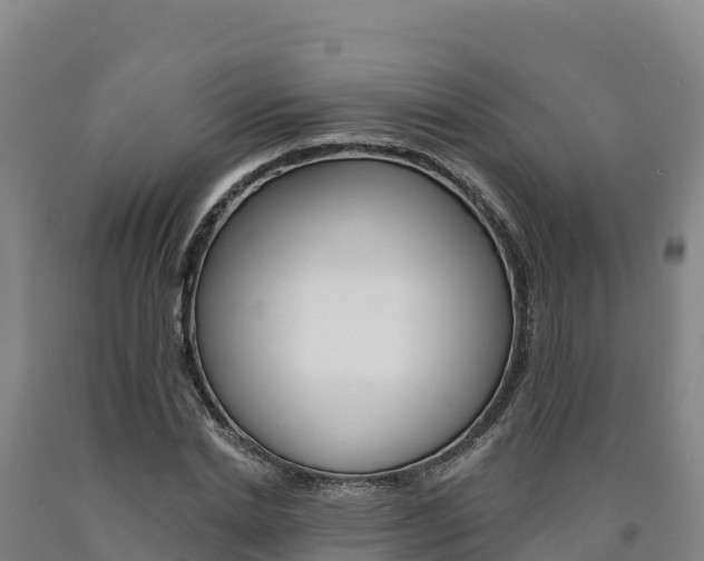 X0000090930830200707301113