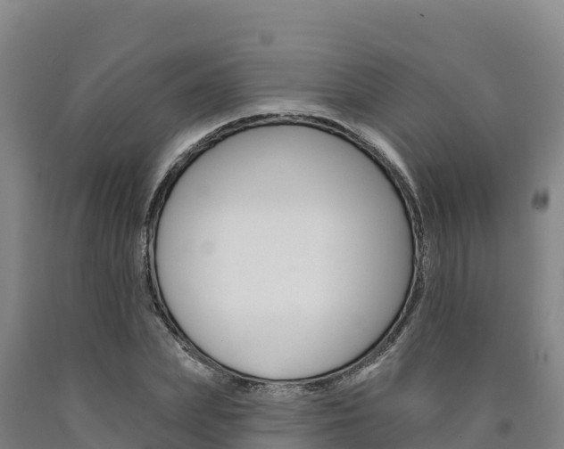 X0000090930831200707301113