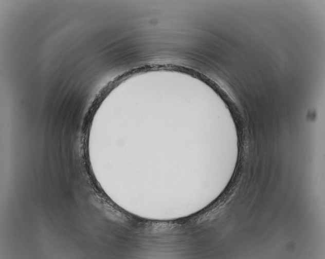 X0000090930832200707301113