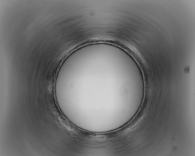 X0000090930833200707301113