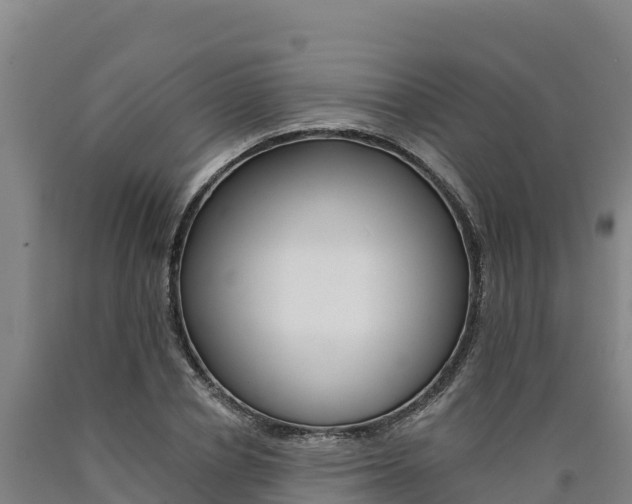 X0000090930834200707301113