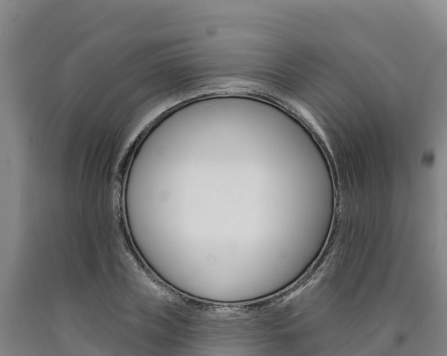 X0000090930835200707301113