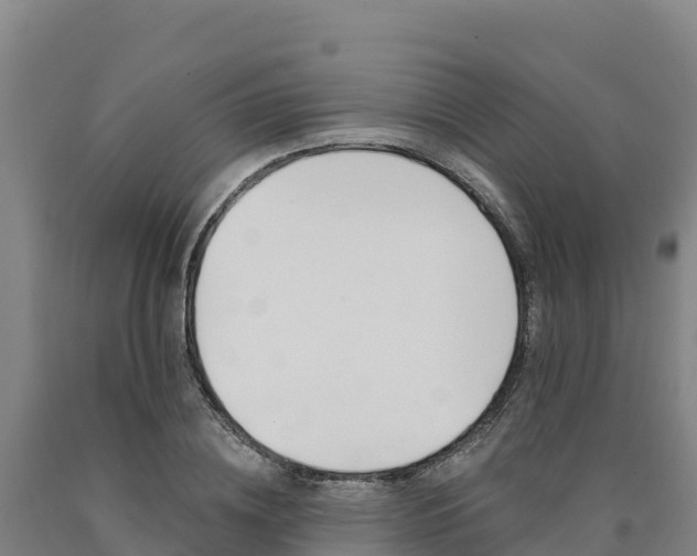 X0000090930836200707301113