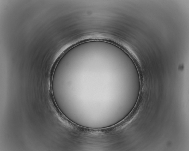 X0000090930837200707301113