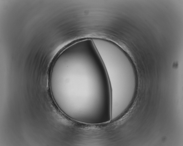 X0000090930838200707301113