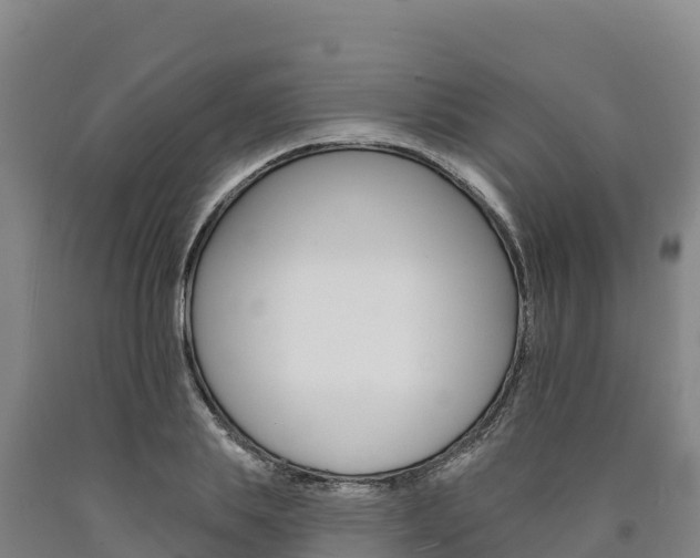 X0000090930839200707301113