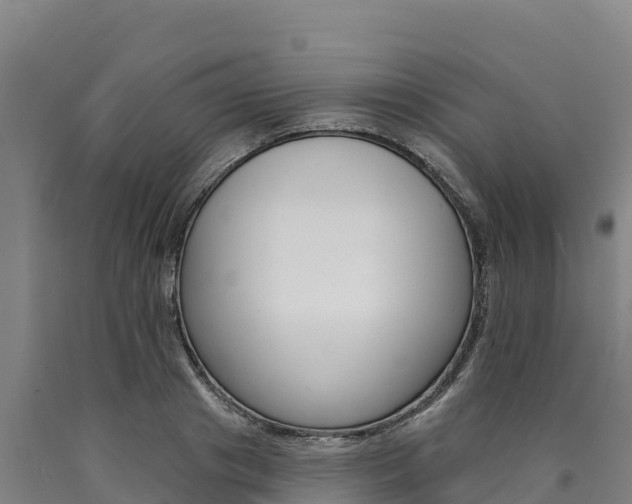 X0000090930841200707301113