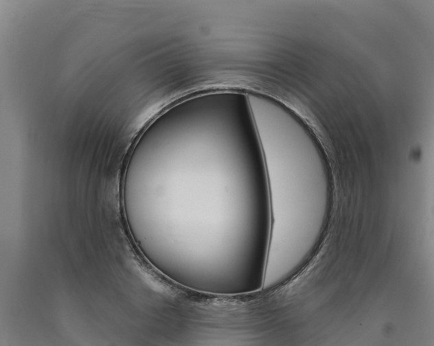 X0000090930842200707301113