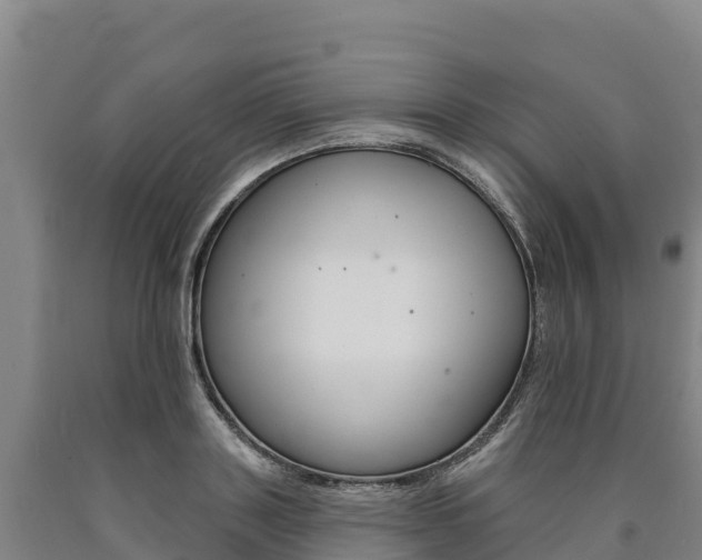X0000090930843200707301113