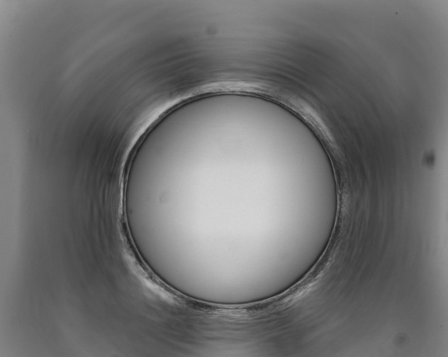 X0000090930844200707301113