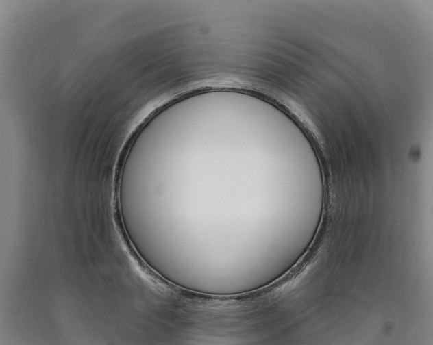 X0000090930845200707301113