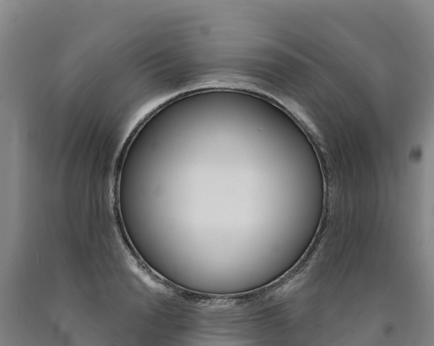 X0000090930846200707301113