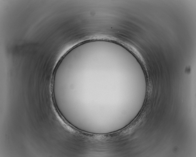 X0000090930847200707301113