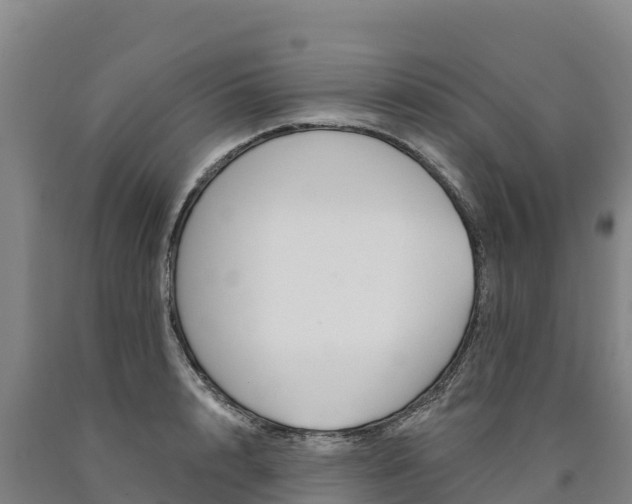 X0000090930848200707301113