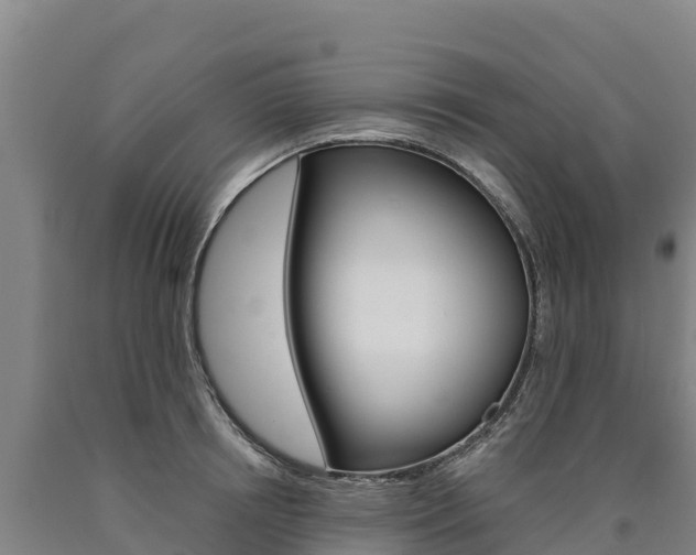 X0000090930850200707301113